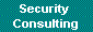 Security  
 Consulting